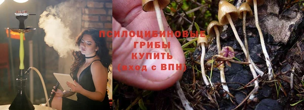 ешки Богородицк