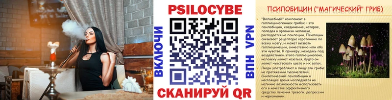 Псилоцибиновые грибы Cubensis  Кондрово 